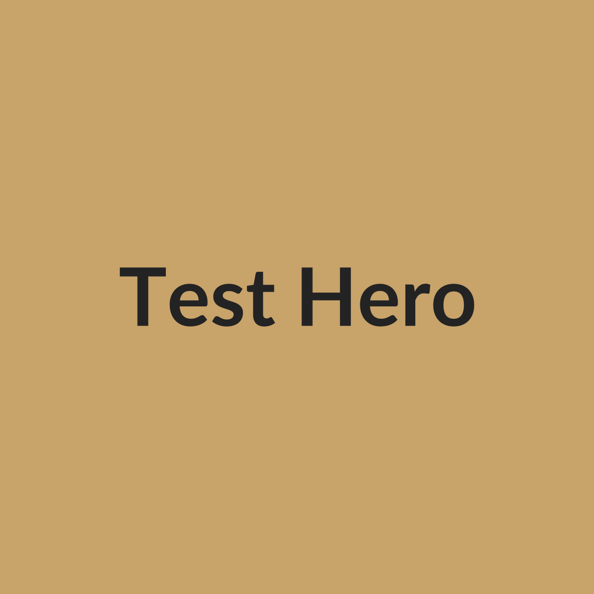 Test product placeholder — hero image
